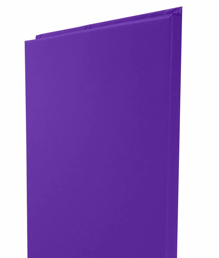 AK Athletic Equipment Custom Wood Backed Gym Wall Padding Panels 2' X 7' 31 AK Athletic Equipment Custom Wood Backed Gym Wall Padding Panels 2' X 7' - Image 31