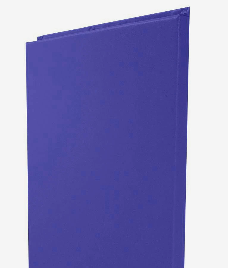 AK Athletic Equipment Custom Wood Backed Gym Wall Padding Panels 2' X 6' 33 AK Athletic Equipment Custom Wood Backed Gym Wall Padding Panels 2' X 6' - Image 33